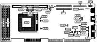 CSS LABORATORIES, INC.   MS-5861